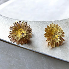 Golden Bloom Radiance Studs